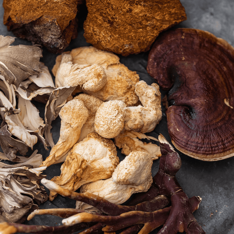 Medicinal Mushrooms: 5 Kinds and Their Health Benefits - Bloomable Mushrooms