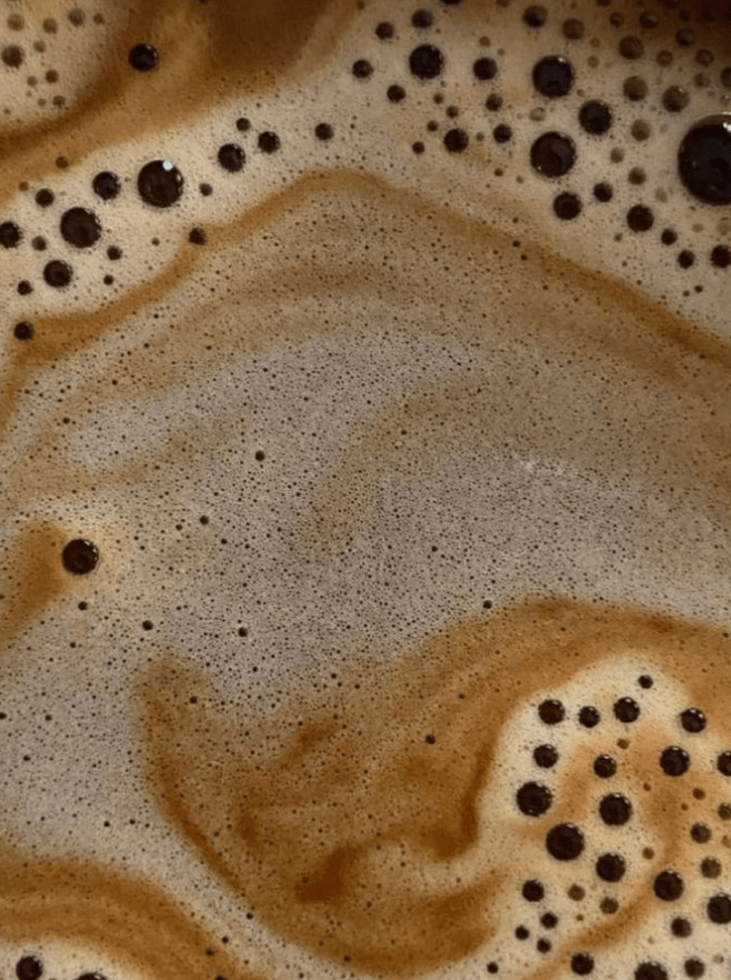 The 5 Best Mushroom Coffee Benefits Backed by Science - Bloomable Mushrooms