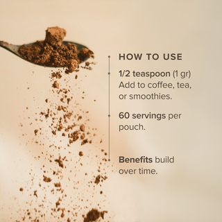 Turkey Tail Mushroom Extract Powder (60 gr) - Bloomable Natural Products