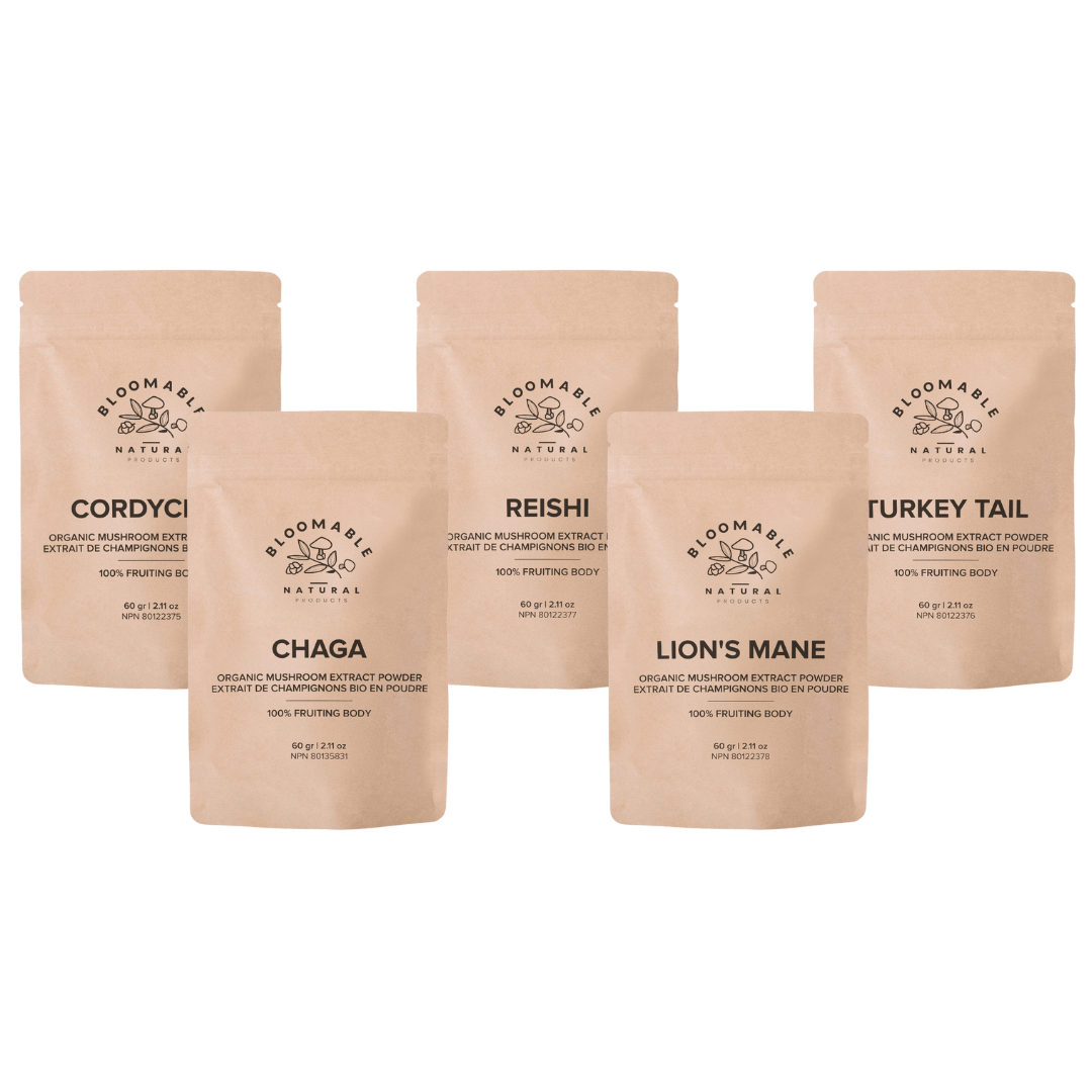 Bloomable Mushroom Bundle - Lion's Mane, Turkey Tail, Reishi, Chaga and Cordyceps Mushroom Extract Powders (60 g each) - Bloomable Natural Products
