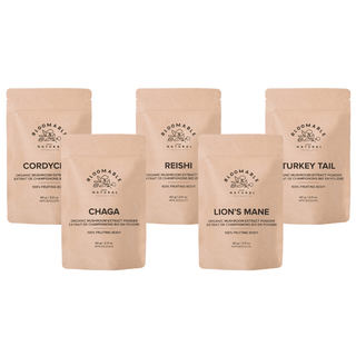 Bloomable Mushroom Bundle - Lion's Mane, Turkey Tail, Reishi, Chaga and Cordyceps Mushroom Extract Powders (60 g each) - Bloomable Natural Products