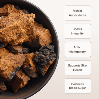 Chaga Mushroom Extract Powder (60 gr) - Bloomable Natural Products