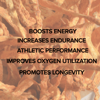 Cordyceps Mushroom Capsules (120 Capsules) - Bloomable Mushrooms