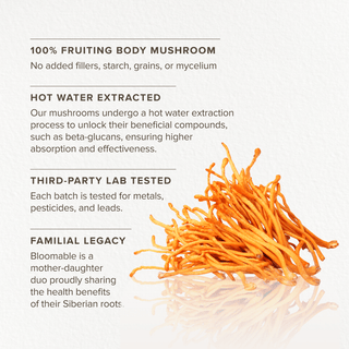 Cordyceps Mushroom Capsules (120 Capsules) - Bloomable Mushrooms