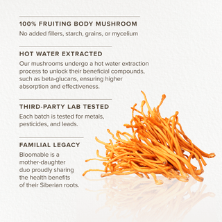 Cordyceps Mushroom Extract Powder (60 gr) - Bloomable Natural Products