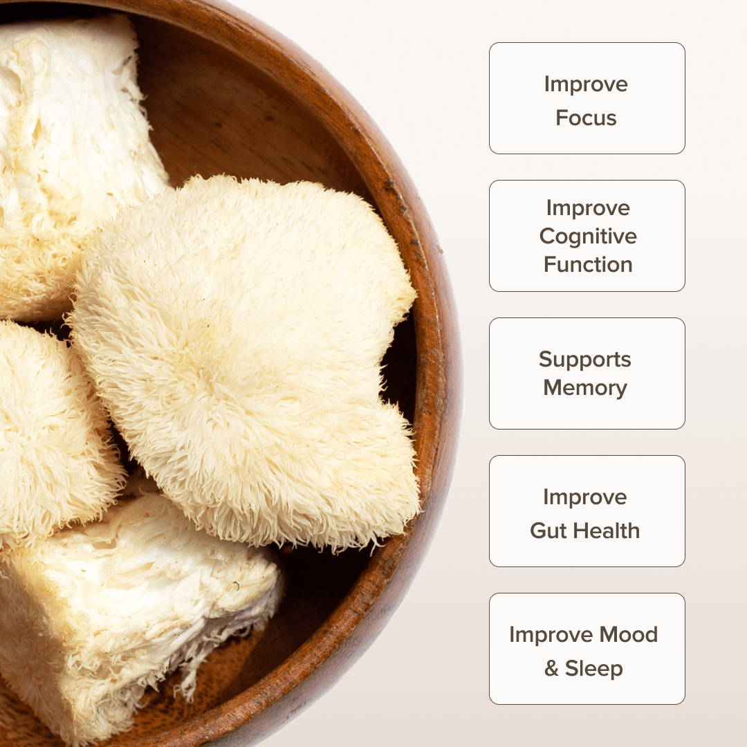 Lion's Mane Mushroom Extract Capsules (120 Capsules) - Bloomable Natural Products
