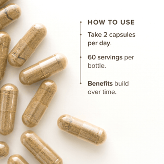 Lion's Mane Mushroom Extract Capsules (120 Capsules) - Bloomable Natural Products