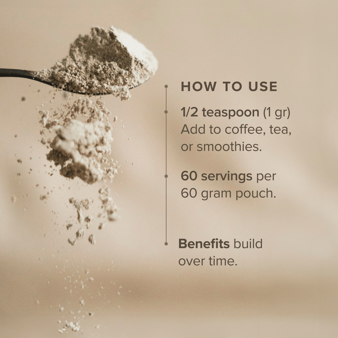 Lion's Mane Mushroom Extract Powder (60 gr) - Bloomable Natural Products