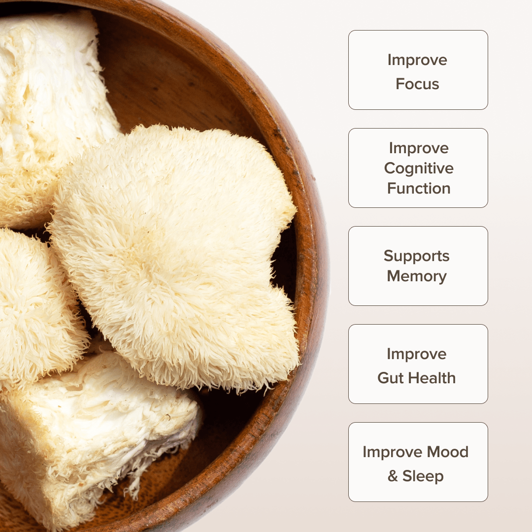 Lion's Mane Mushroom Extract Powder (60 gr) - Bloomable Natural Products