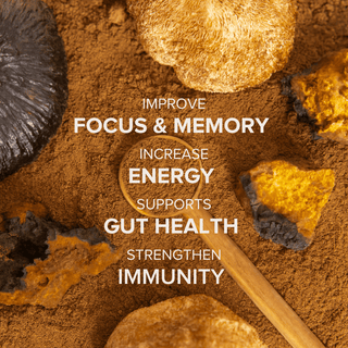 Mushroom Coffee for Focus, Calm & Energy - with Lion’s Mane, Reishi, Chaga & L - Theanine (30 servings) - Bloomable Mushrooms