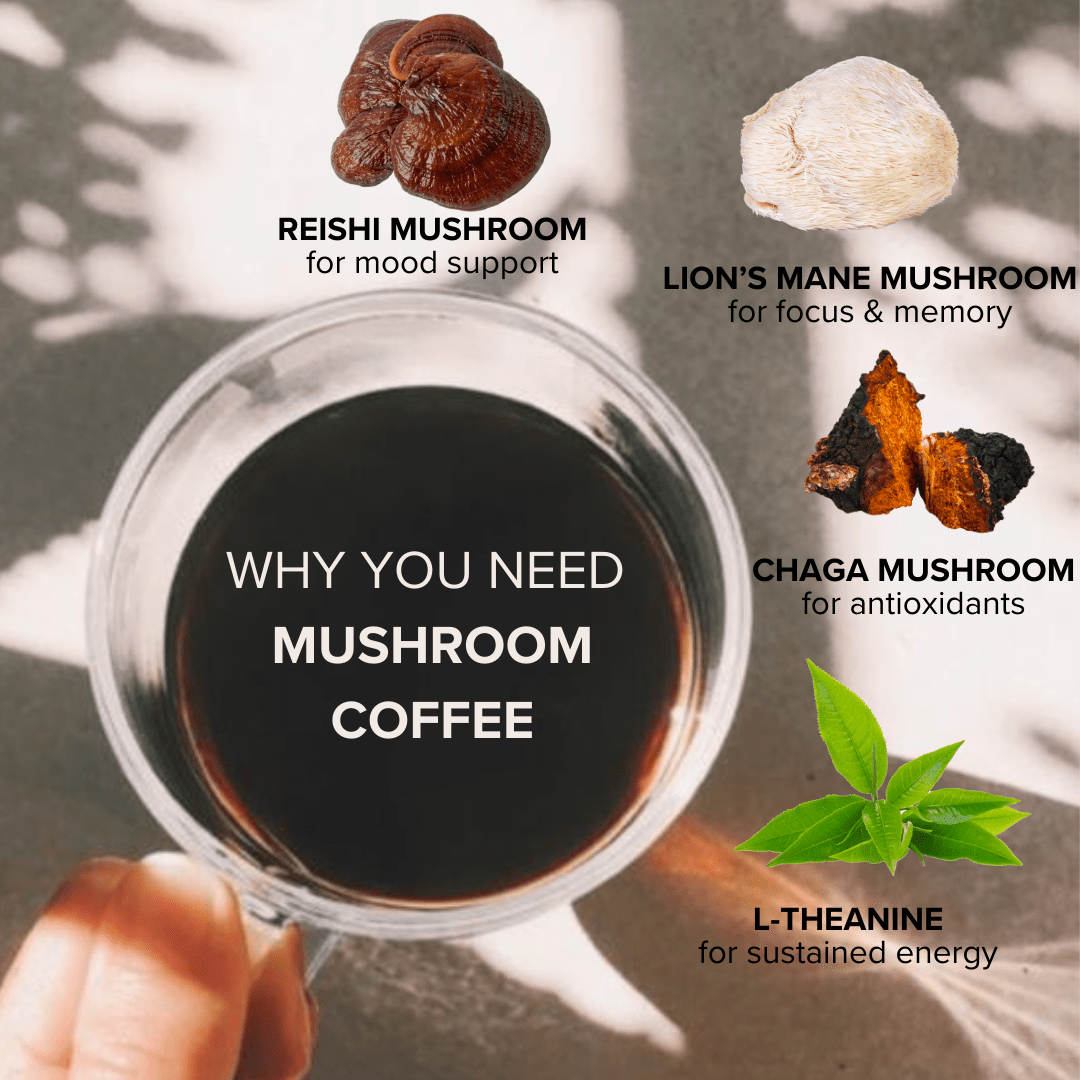 Organic Lion's Mane Mushroom Coffee Powder – Energy & Focus Boost, 226g Bag