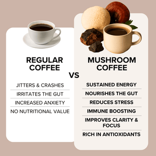 Mushroom Coffee with Lion’s Mane, Reishi, Chaga & L - Theanine (30 servings) - Bloomable