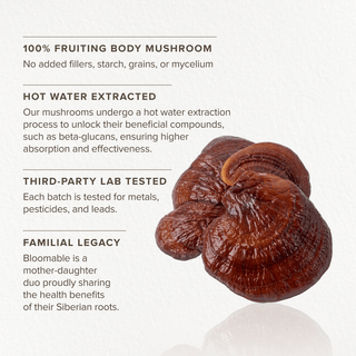 Reishi Mushroom Capsules (120 Capsules) - Bloomable Mushrooms