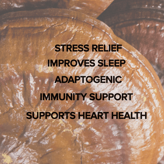 Reishi Mushroom Capsules (120 Capsules) - Bloomable Mushrooms