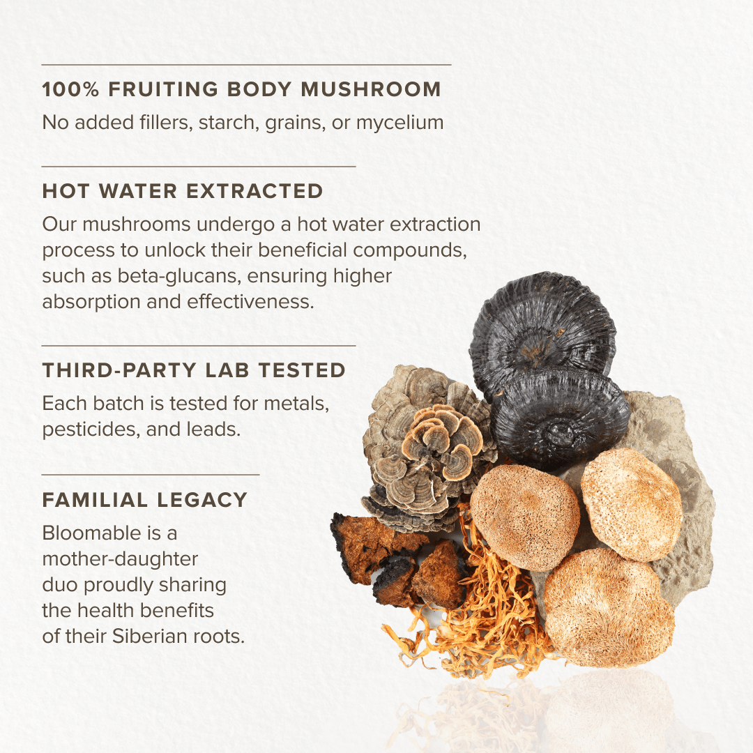 Tonic Blend by Bloomable - Lion's Mane, Turkey Tail, Reishi, Chaga and Cordyceps Extract Mushroom Powder Blend (60 gr) - Bloomable Natural Products