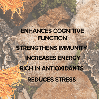 Tonic Blend by Bloomable - Lion's Mane, Turkey Tail, Reishi, Chaga and Cordyceps Extract Mushroom Powder Blend (60 gr) - Bloomable Mushrooms