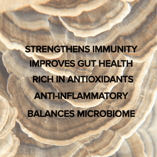 Turkey Tail Mushroom Extract Capsules (120 Capsules) - Bloomable Mushrooms